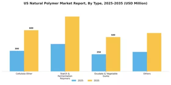 US Natural Polymer Market Segment Image 1