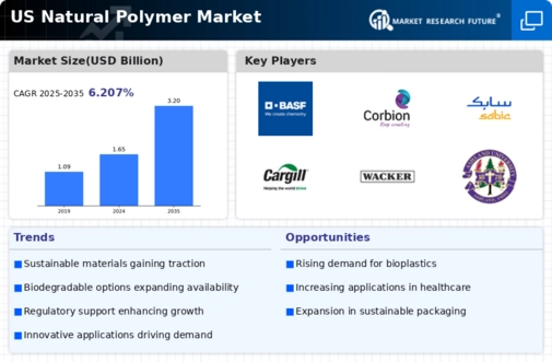US Natural Polymer Market Infographic