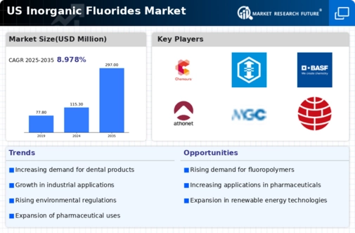 US Inorganic Fluorides Market Infographic