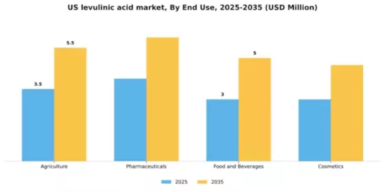 US Levulinic Acid Market Segment Image 1