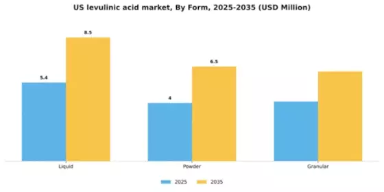 US Levulinic Acid Market Segment Image 2