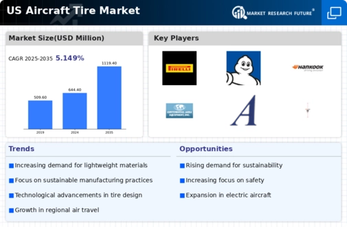 US Aircraft Tire Market Infographic