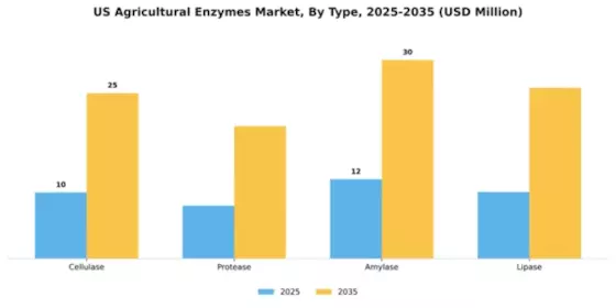 US Agricultural Enzymes Market Segment Image 3