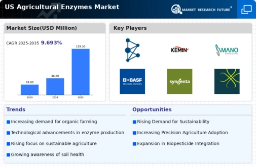 US Agricultural Enzymes Market Infographic