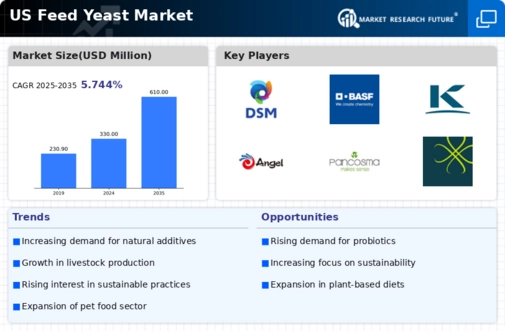 US Feed Yeast Market Infographic