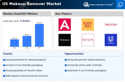 US Makeup Remover Market Infographic