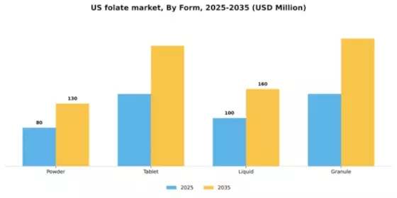 US Folate Market Segment Image 2