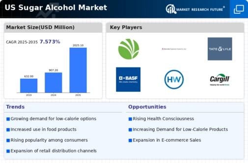 US Sugar Alcohol Market Infographic