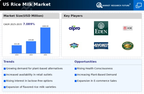 US Rice Milk Market Infographic