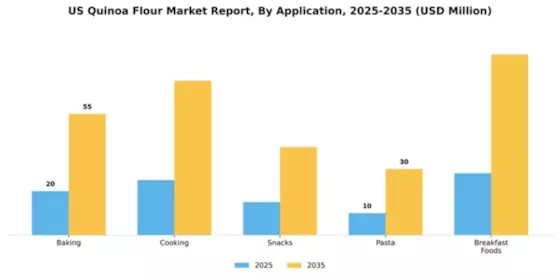 US Quinoa Flour Market Segment Image 0