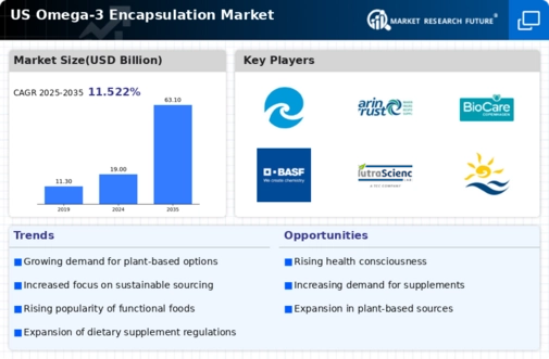 US Omega 3 Encapsulation Market Infographic