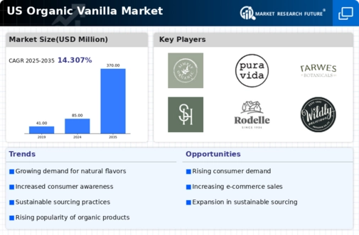 US Organic Vanilla Market Infographic