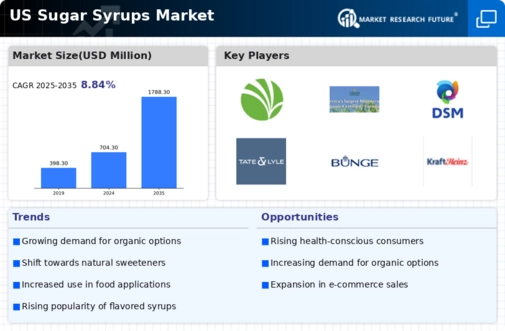 US Sugar Syrups Market Infographic