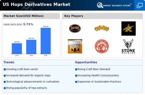US Hops Derivatives Market Infographic