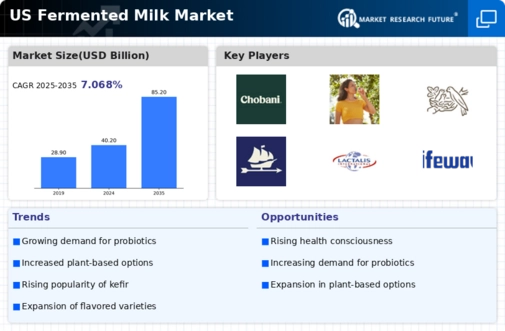 US Fermented Milk Market Infographic