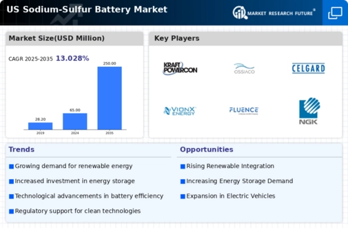 US Sodium Sulfur Battery Market Infographic