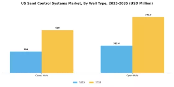US Sand Control Systems Market Segment Image 2