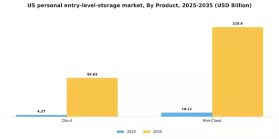 US Personal Entry Level Storage Market Segment Image 0