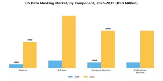 US Data Masking Market Segment Image 1