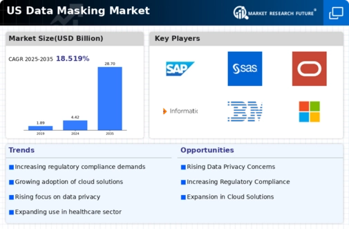 US Data Masking Market Infographic