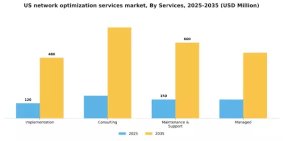 US Network Optimization Services Market Segment Image 1
