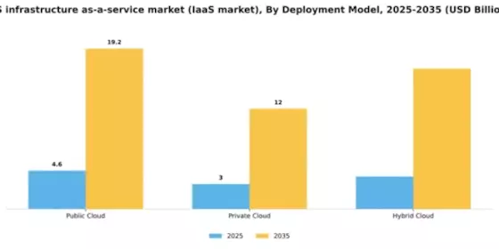 US Infrastructure as a Service Market Segment Image 1