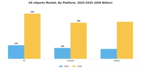 US E Sports Market Segment Image 2