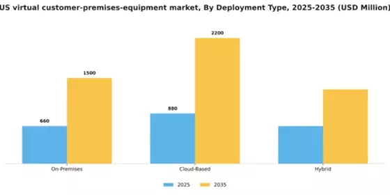 US Virtual Customer Premises Equipment Market Segment Image 0
