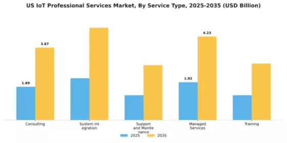 US IoT Professional Services Market Segment Image 3
