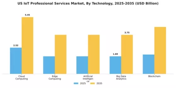 US IoT Professional Services Market Segment Image 4