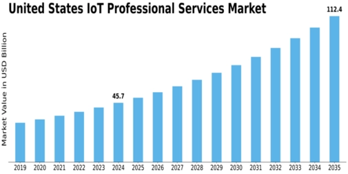 US IoT Professional Services Market Size