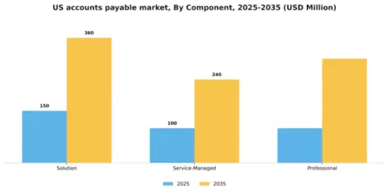 US Account Payable Market Segment Image 0