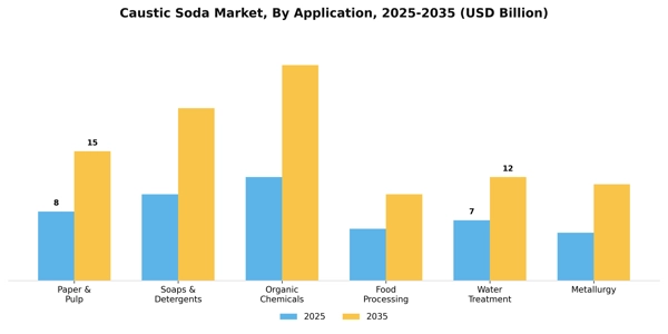 Caustic Soda Market Segment Image 0