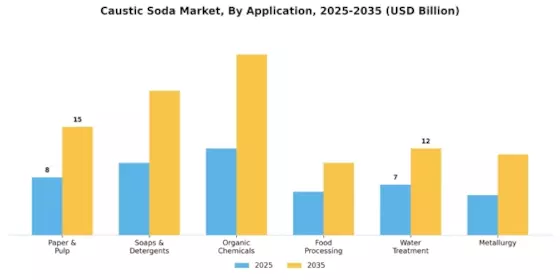 Caustic Soda Market Segment Image 1