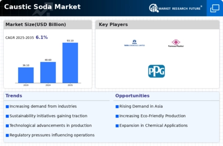 Caustic Soda Market Infographic
