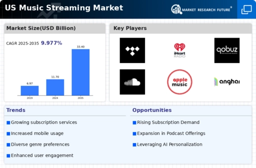 US Music Streaming Market Infographic