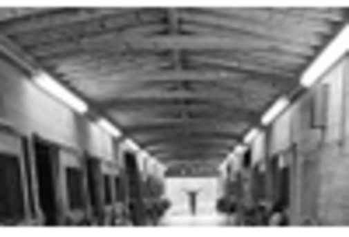 US Applied AI in Agriculture Market key player