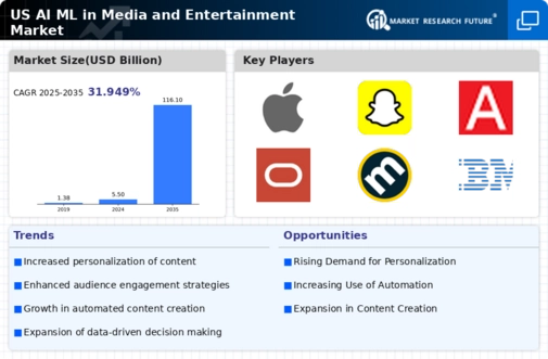 US AI/ML in Media and Entertainment Market Infographic