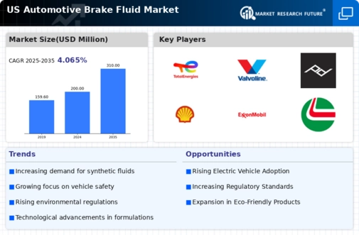 US Automotive Brake Fluid Market Infographic