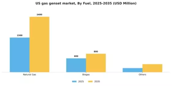 US Gas Genset Market Segment Image 2