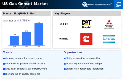 US Gas Genset Market Infographic