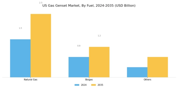 US Gas Genset Market Segment Image 0