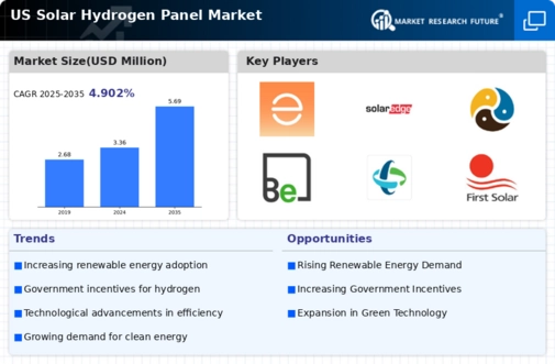 US Solar Hydrogen Panel Market Infographic