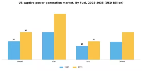 US Captive Power Generation Market Segment Image 2