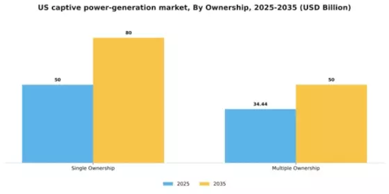 US Captive Power Generation Market Segment Image 3