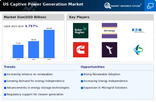 US Captive Power Generation Market Infographic