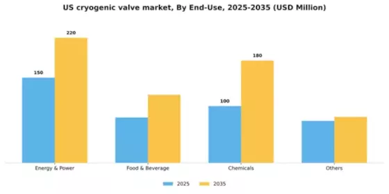 US Cryogenic Valve Market Segment Image 1