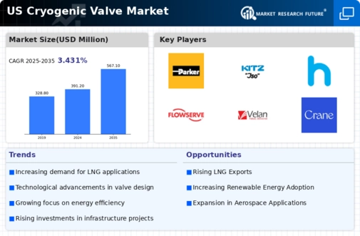 US Cryogenic Valve Market Infographic