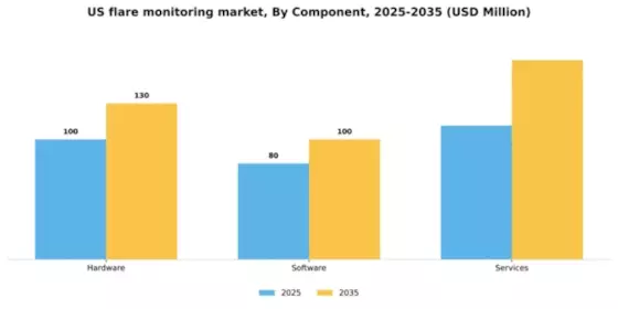 US Flare Monitoring Market Segment Image 0