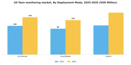 US Flare Monitoring Market Segment Image 1